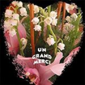 Domaine De Paguy Armagnac Floc De Gascogne Bordeaux Le Vauclin 1 Domaine De Paguy Armagnac Floc De Gascogne Bordeaux Le Vauclin 1